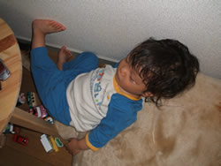 眠るbabyらいおんを上から