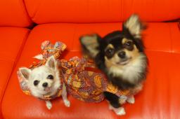 おＮＥＷのお洋服です