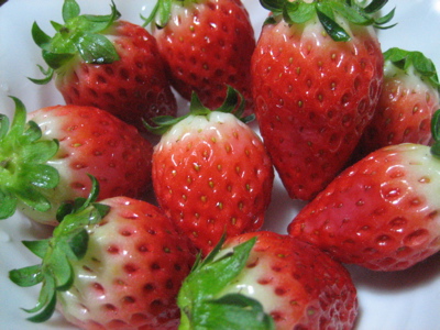 Sweets-strawberry.jpg