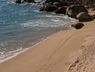 footprint