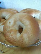 プレーンベーグル