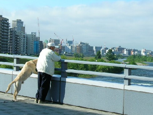 幌平橋から豊平川