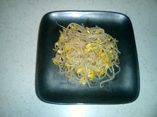 soybean sprout