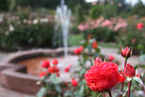 reba-and-the-fountain.jpg