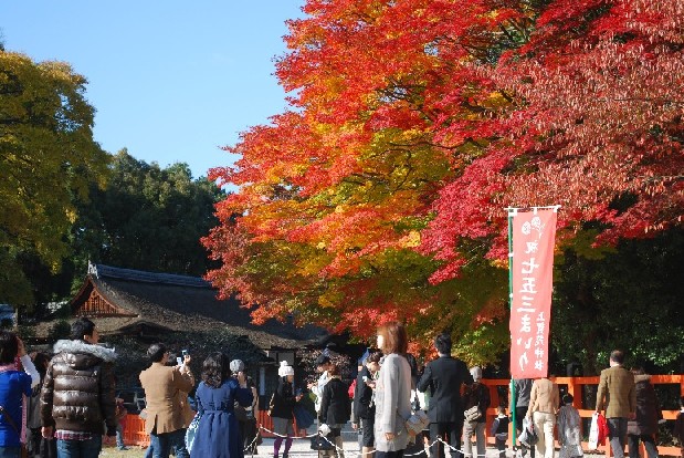 上賀茂神社　紅葉