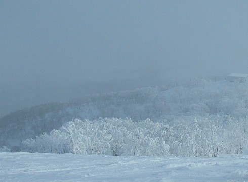 イゾラ頂上から第4リフト駅舎を