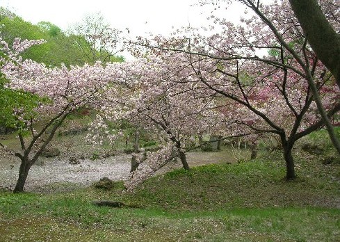 有珠善光寺自然公園