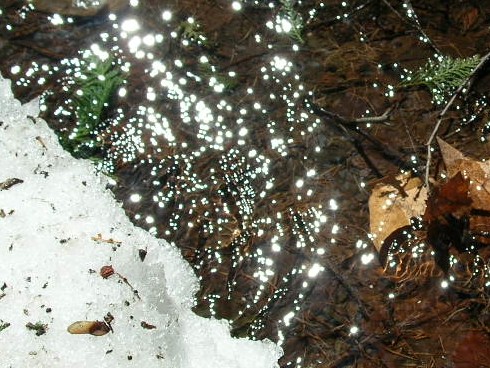 公園内雪解け中