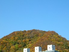 ホーマックPから円山