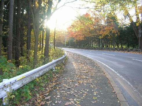 公園内の道路