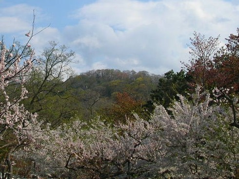 神宮から円山