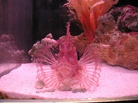 絆創膏が気になっている