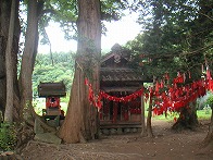 遠野 卯子酉様
