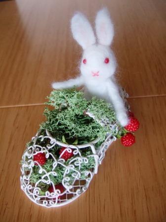 森のクツウサギ