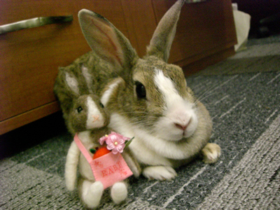 らびちゃん　0803