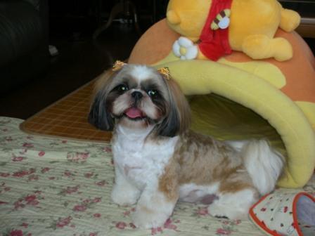 ももちゃんハウス