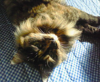 200712051312001.jpg