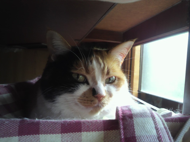 2010051408370001.jpg
