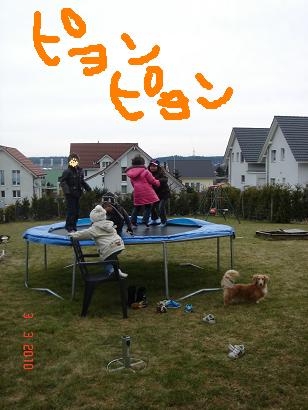 03032010 061.JPG