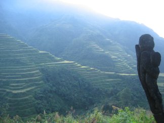 philippine-banaue-rice-terraces.jpg