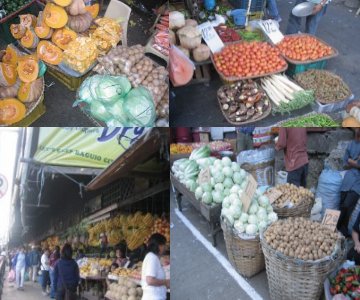 market03-Baguio.jpg