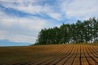 見て知って北海道