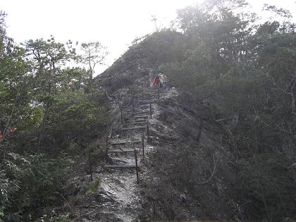 新城らしいコース