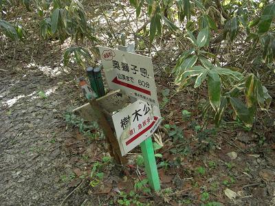 樹木公園への分岐