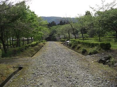 樹木公園