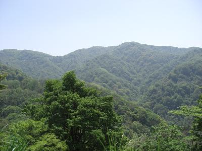 奥医王山