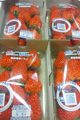 240102イチゴ.JPG