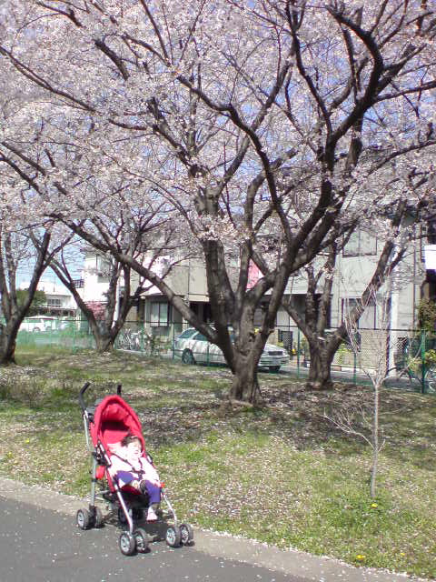 spring0404