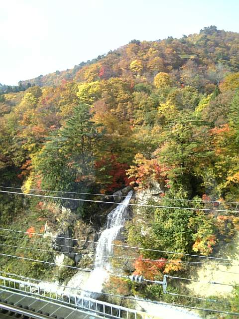 紅葉の面白山渓谷