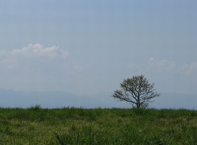 s-5月16日種山高原 025.jpg