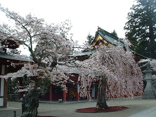 s-塩釜神社２.jpg