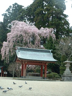 s-塩釜神社１.jpg