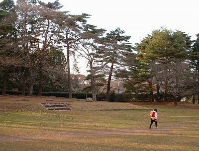 s-多賀城廃寺.jpg