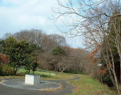 s-東北歴史博物館への小道.jpg