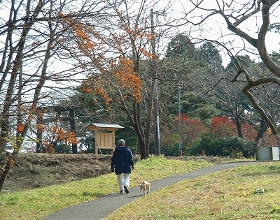 s-多賀城廃寺への帰り道.jpg