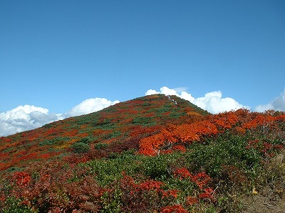 s-栗駒山の紅葉は素晴らしかった.jpg