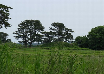 s-象潟、蚶満寺からの風景.jpg