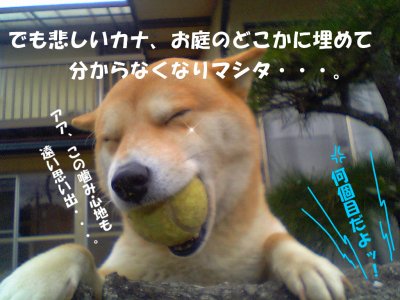 何個目だよッ！