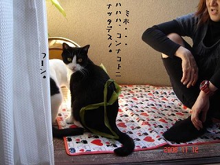 ハハハ、コンナコトニ・・。