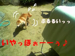 ハイテンション