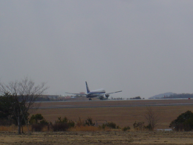 飛行機