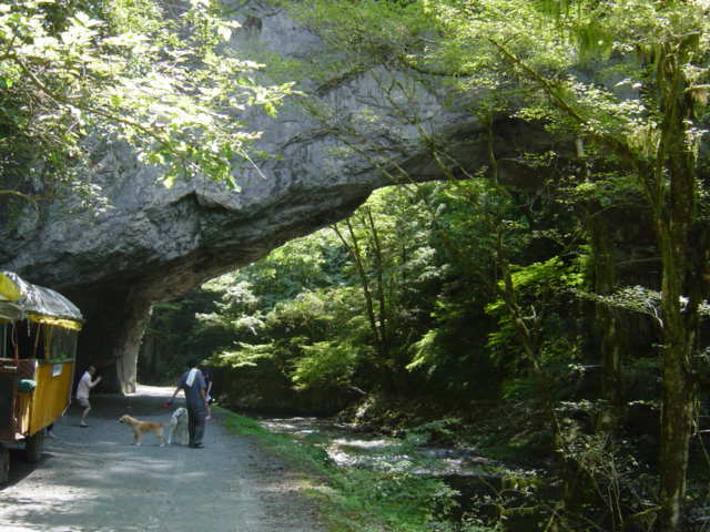 天然橋といわれるこの雄橋