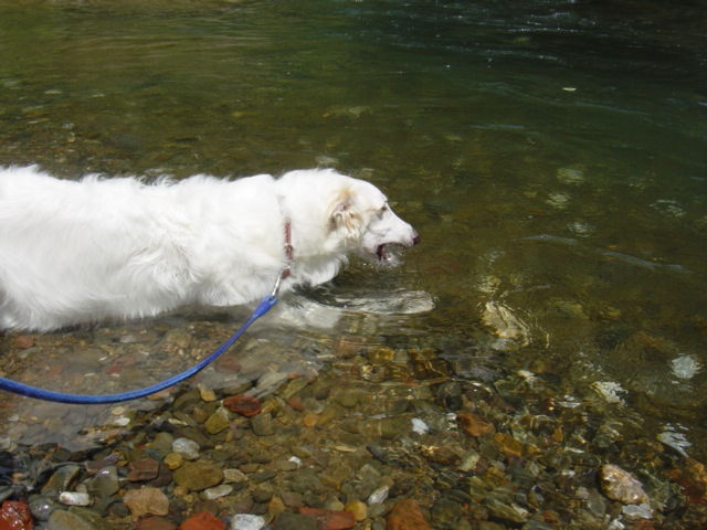 お水の一気飲み!!