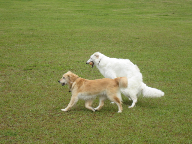 キキとユリア