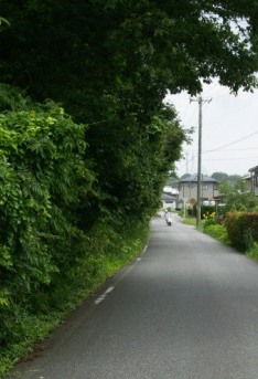 蛇溝道路
