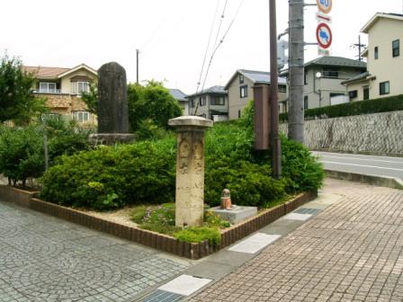 大学駅前通り合流
